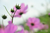 AAA_3944.jpg