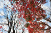 AAA_4015.jpg