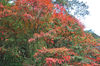 AAA_4040.jpg