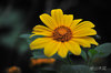 AAA_4039.jpg