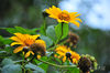 AAA_4035.jpg