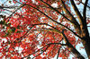 AAA_4019.jpg