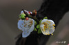 AAA_5068.jpg