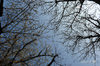 DSC_3323.jpg