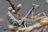 AAA_5205.jpg