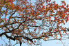DSC_3297.jpg