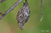 AAA_5131.jpg