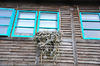 AAA_4450.jpg