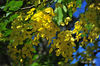 AAA_5105.jpg