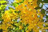 AAA_5118.jpg