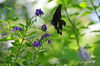 DSC_4686.jpg