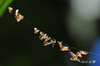 DSC_4700.jpg
