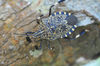DSC_4718.jpg