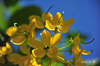 AAA_5141.jpg