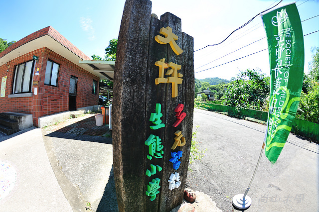 大坪國小拍蝴蝶