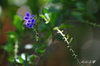 DSC_4684.jpg