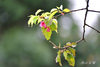 DSC_4782.jpg