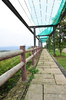 AAA_3957.jpg