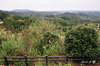 AAA_3960.jpg