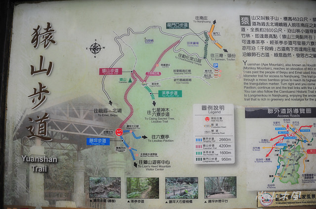 藤坪步道桐遊趣