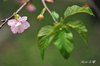DSC_3981.jpg