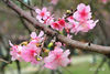DSC_4029.jpg