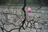 DSC_3684.jpg