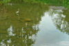 AAA_3928.jpg
