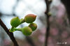 DSC_3971.jpg