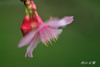 DSC_4145.jpg