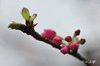 DSC_3976.jpg