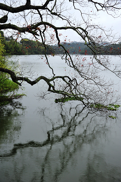 峨嵋湖畔雨中行