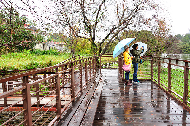 峨嵋湖畔雨中行