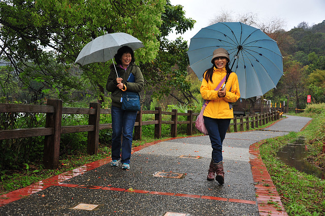 峨嵋湖畔雨中行
