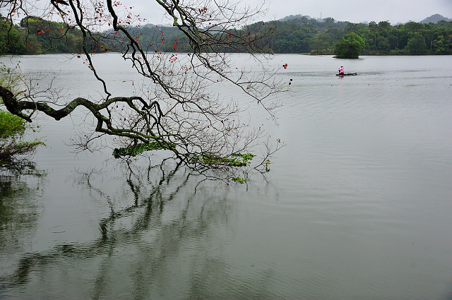 峨嵋湖畔雨中行