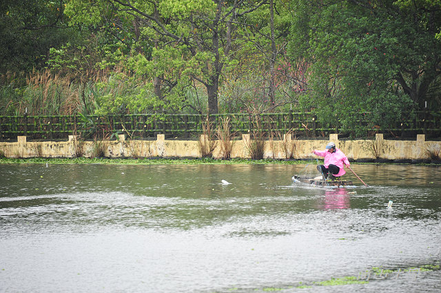 峨嵋湖畔雨中行