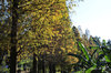 DSC_1284.jpg
