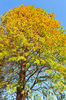 AAA_2218.jpg