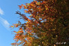 AAA_2173.jpg