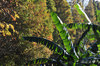 DSC_1283.jpg