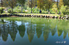 DSC_1251.jpg