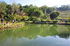 DSC_1265.jpg