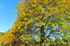 AAA_2214.jpg