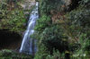 DSC_0136.jpg