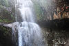 DSC_0223.jpg