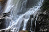 DSC_0187.jpg