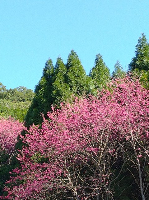 大山背走走趣