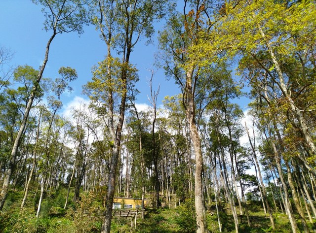 大山背走走趣