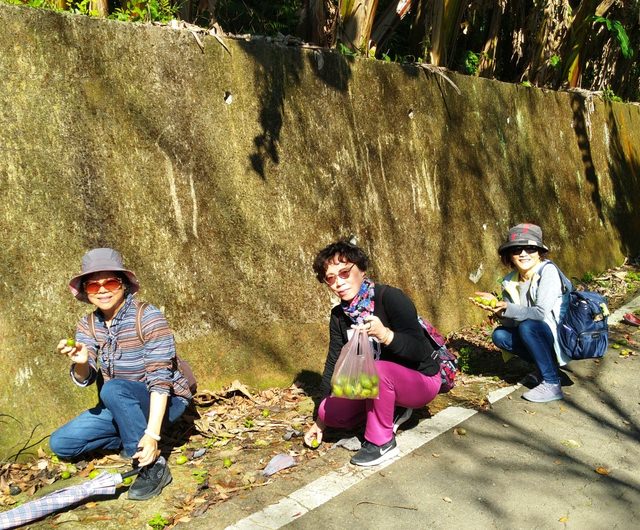 大山背走走趣