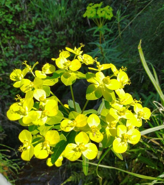 大山背走走趣